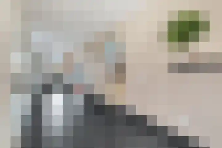 Pingosingel 4 Kerkenveld thumbnail 16