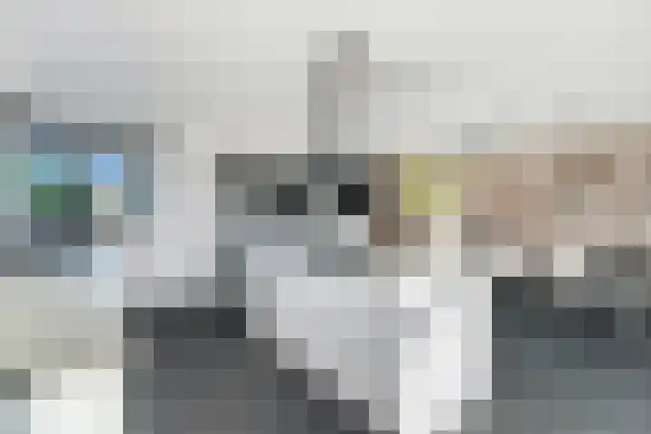 Pingosingel 4 Kerkenveld thumbnail 19