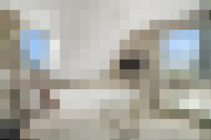 Pingosingel 4 Kerkenveld thumbnail 26