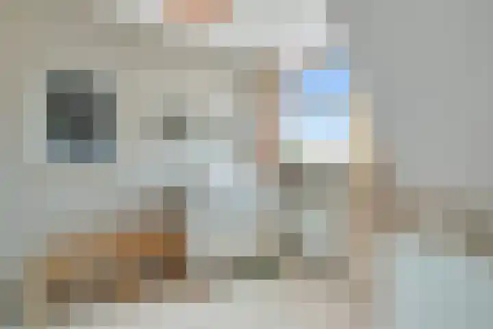 Pingosingel 4 Kerkenveld thumbnail 34