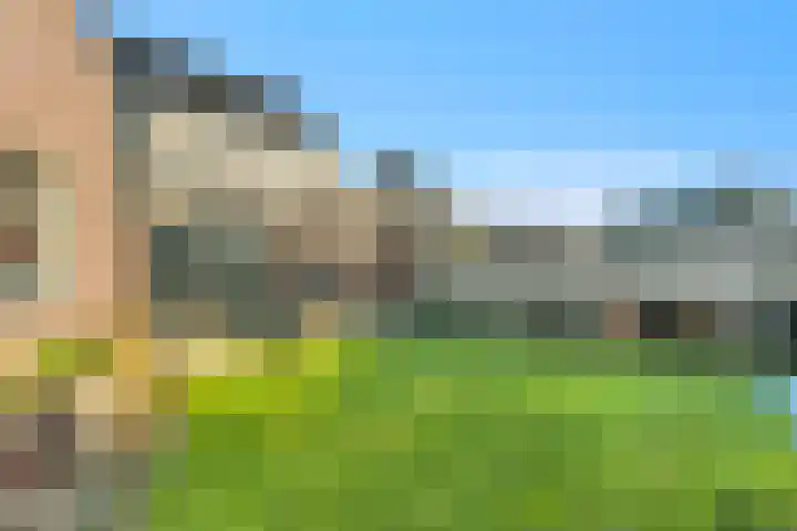 Pingosingel 4 Kerkenveld thumbnail 45