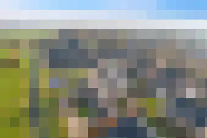 Pingosingel 4 Kerkenveld thumbnail 9
