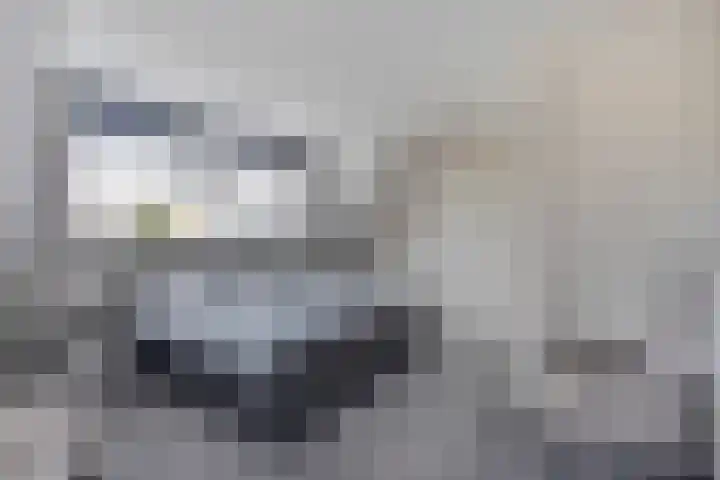 Pingosingel 8 Kerkenveld thumbnail 26