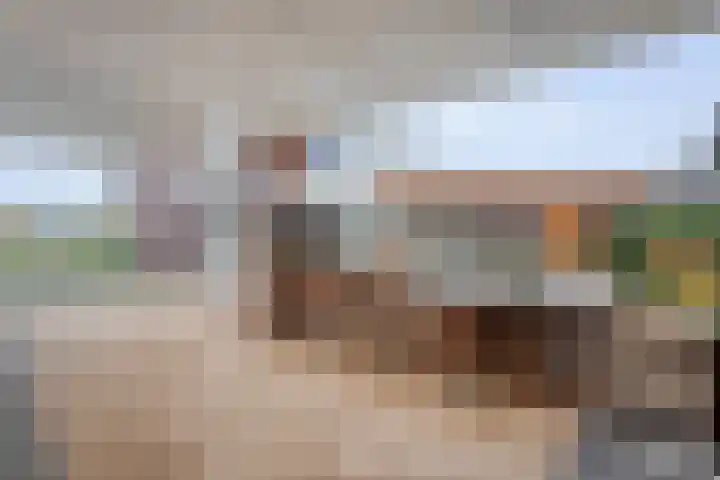 Pingosingel 8 Kerkenveld thumbnail 39