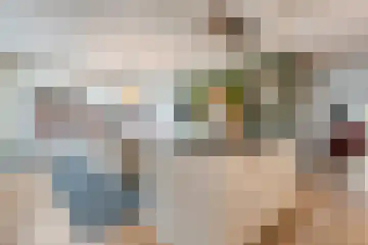 Pingosingel 8 Kerkenveld thumbnail 4