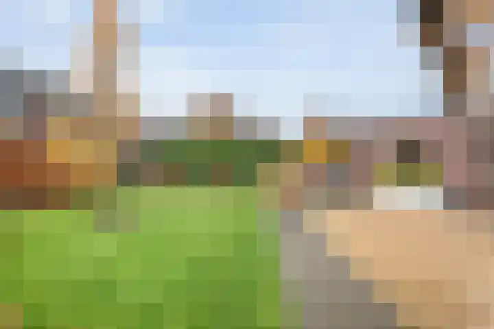 Pingosingel 8 Kerkenveld thumbnail 44