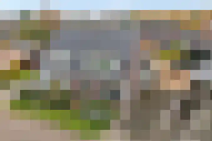 Pingosingel 8 Kerkenveld thumbnail 49