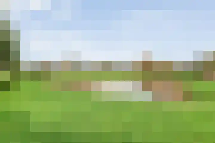 Pingosingel 8 Kerkenveld thumbnail 52