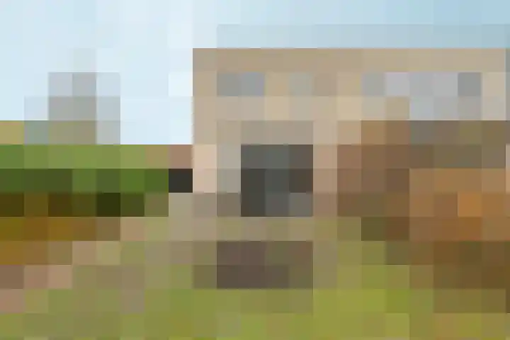 Pink Floydstraat 78 Lent thumbnail 32
