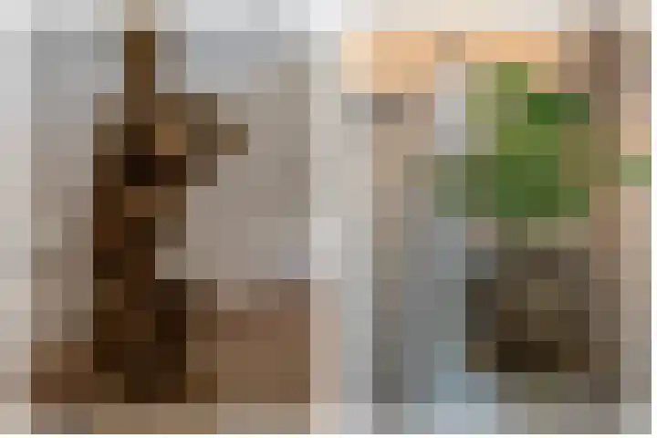 Pinkelbergen 25 Best thumbnail 13