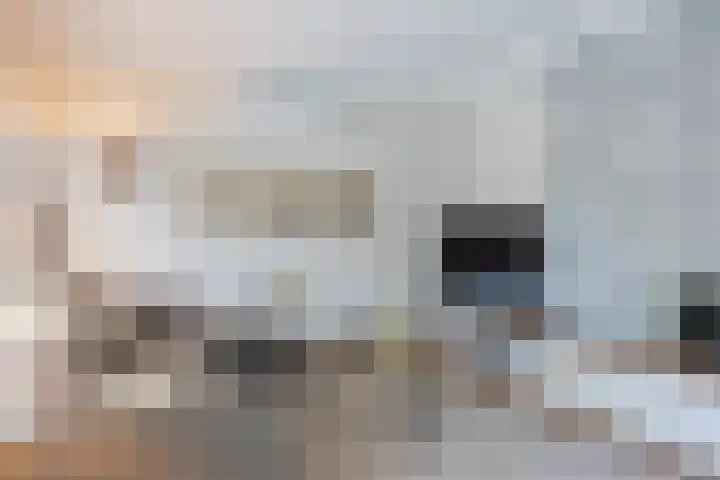 Pinkelbergen 25 Best thumbnail 15