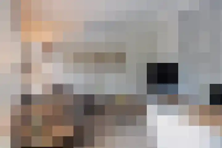 Pinkelbergen 25 Best thumbnail 17