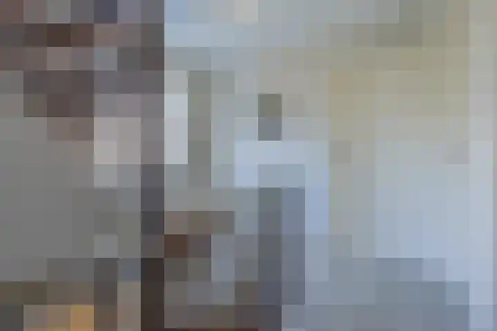 Pinkelbergen 25 Best thumbnail 41