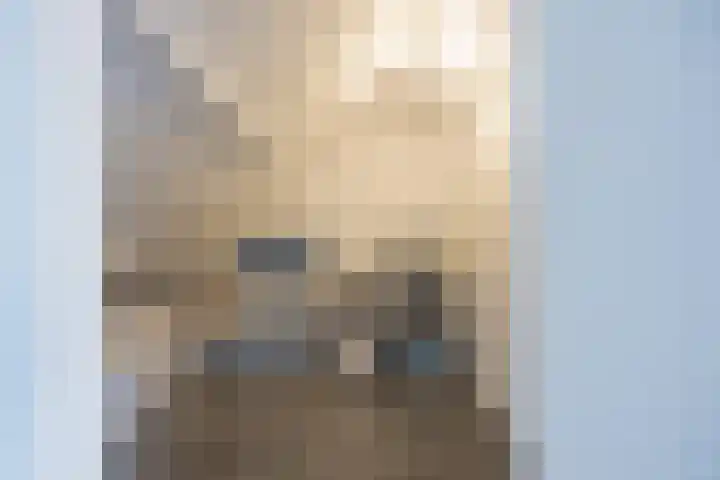 Pinkelbergen 25 Best thumbnail 46