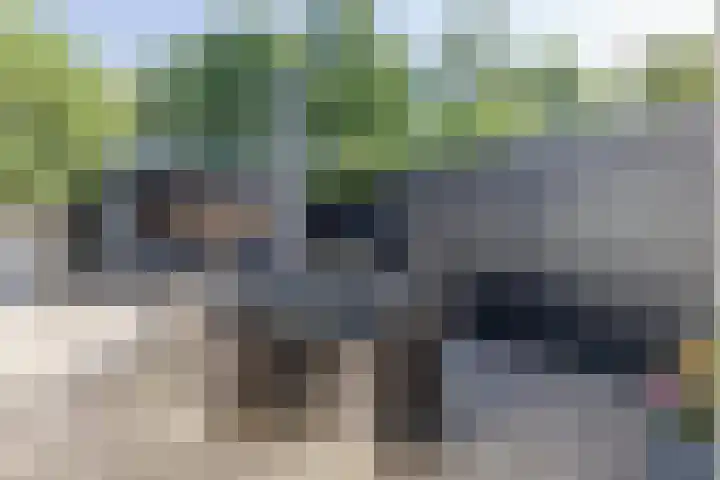 Pinkelbergen 25 Best thumbnail 47