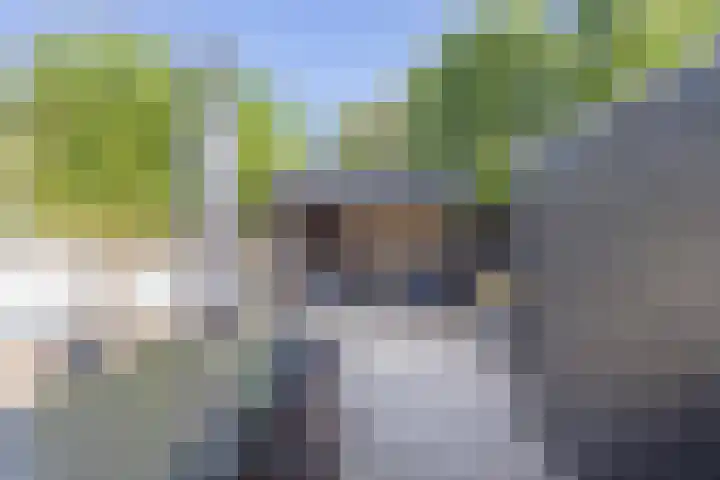 Pinkelbergen 25 Best thumbnail 48