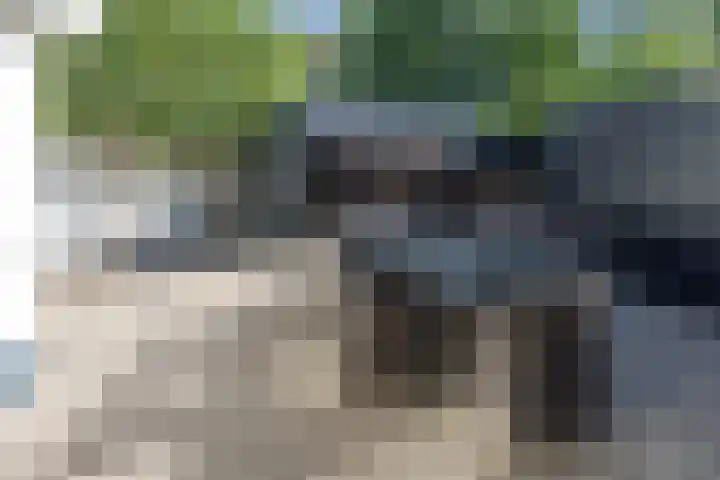 Pinkelbergen 25 Best thumbnail 54