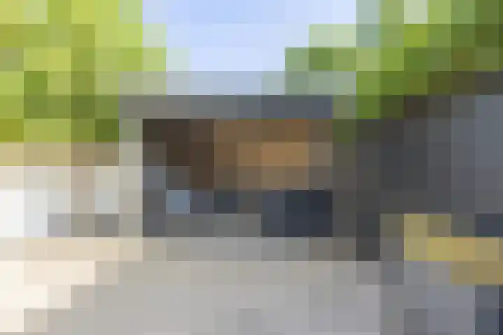 Pinkelbergen 25 Best thumbnail 55