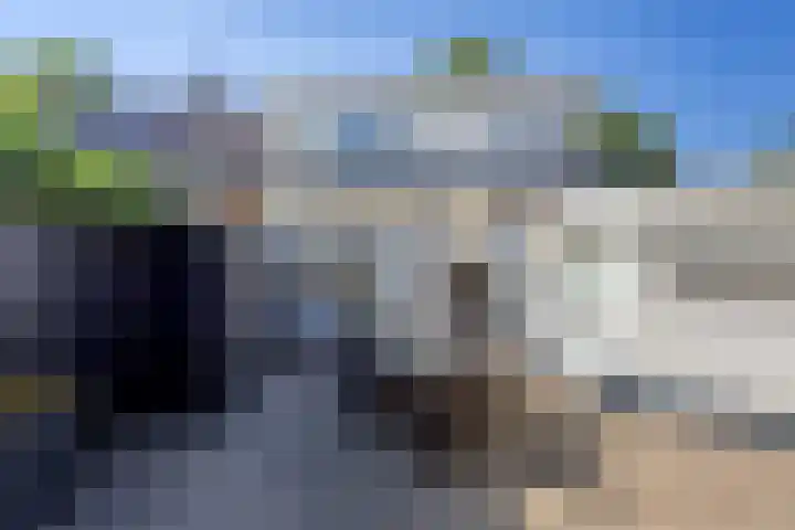 Pinkelbergen 25 Best thumbnail 57
