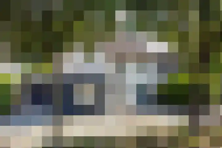 Pinkelbergen 25 Best thumbnail 62