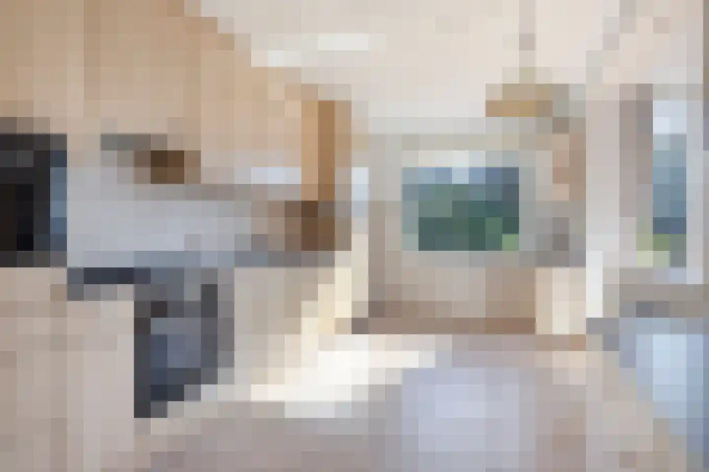 Pinkelbergen 4 Best thumbnail 14