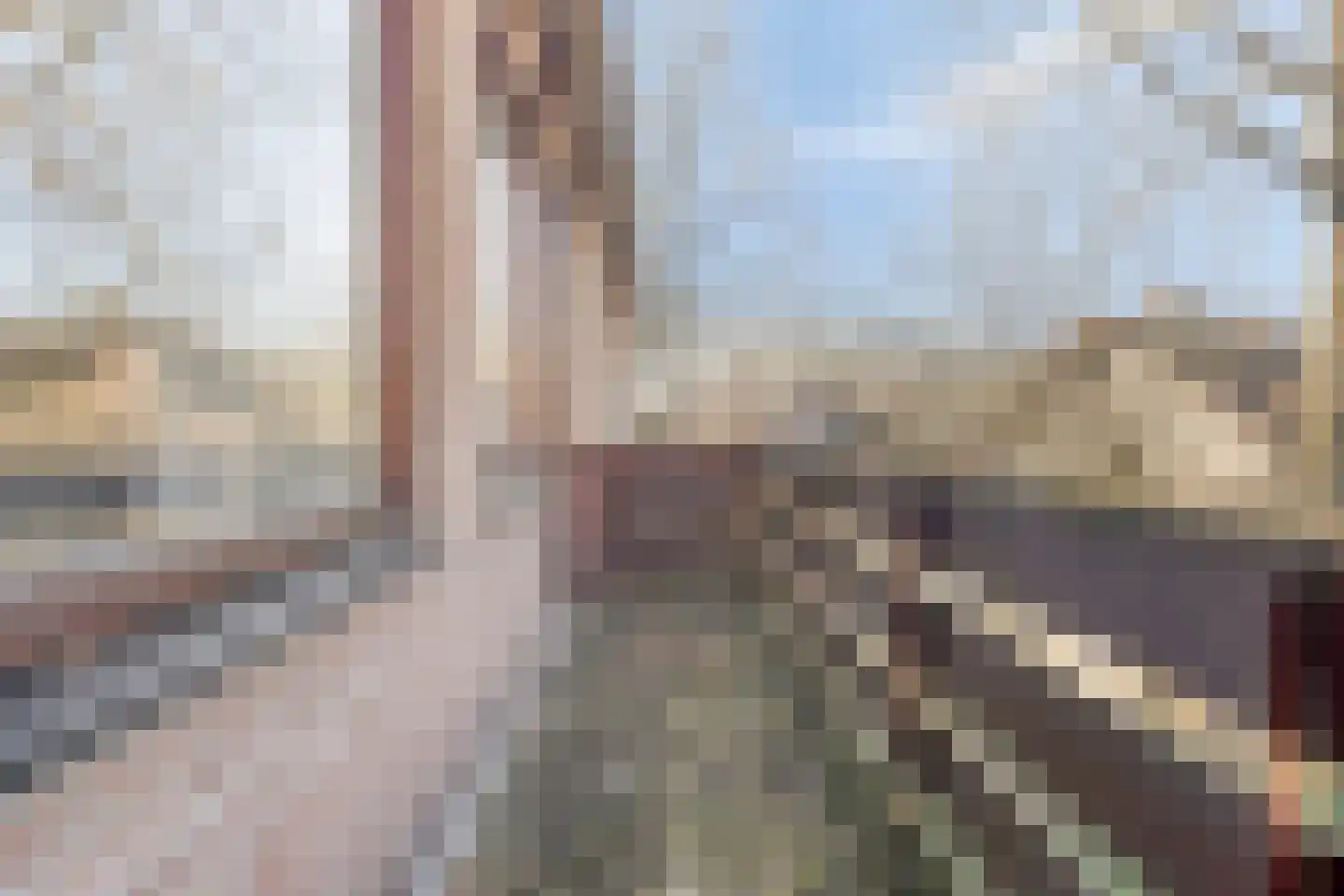 Pinkelbergen 4 Best thumbnail 28