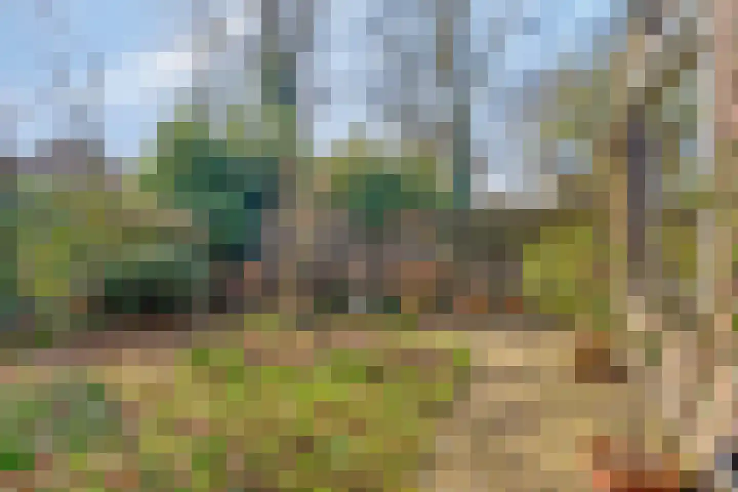 Pinkelbergen 4 Best thumbnail 33