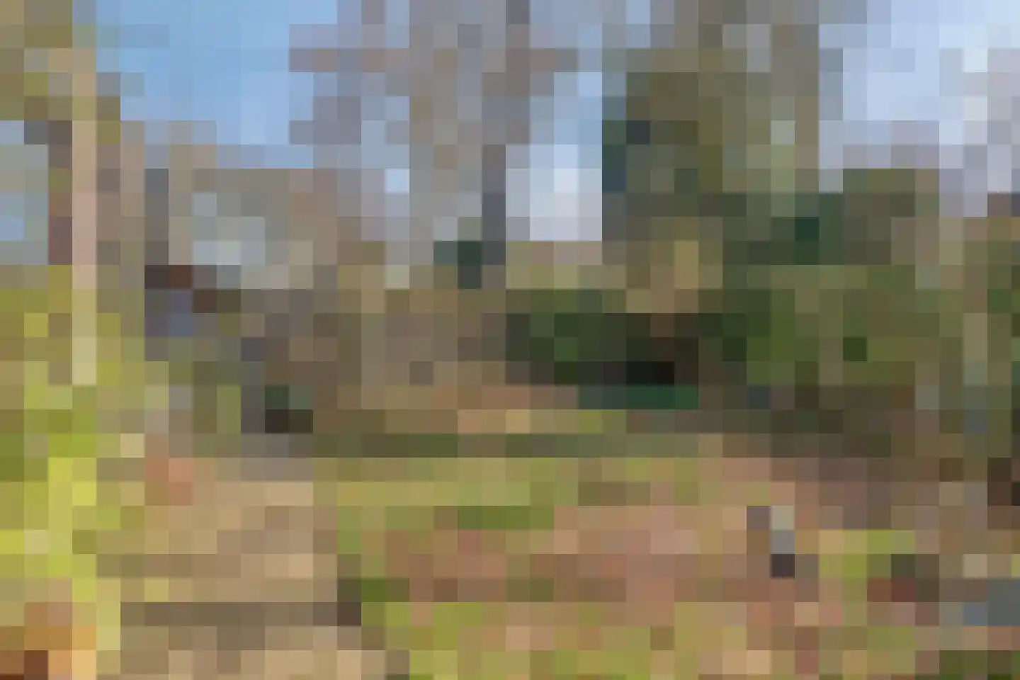 Pinkelbergen 4 Best thumbnail 34