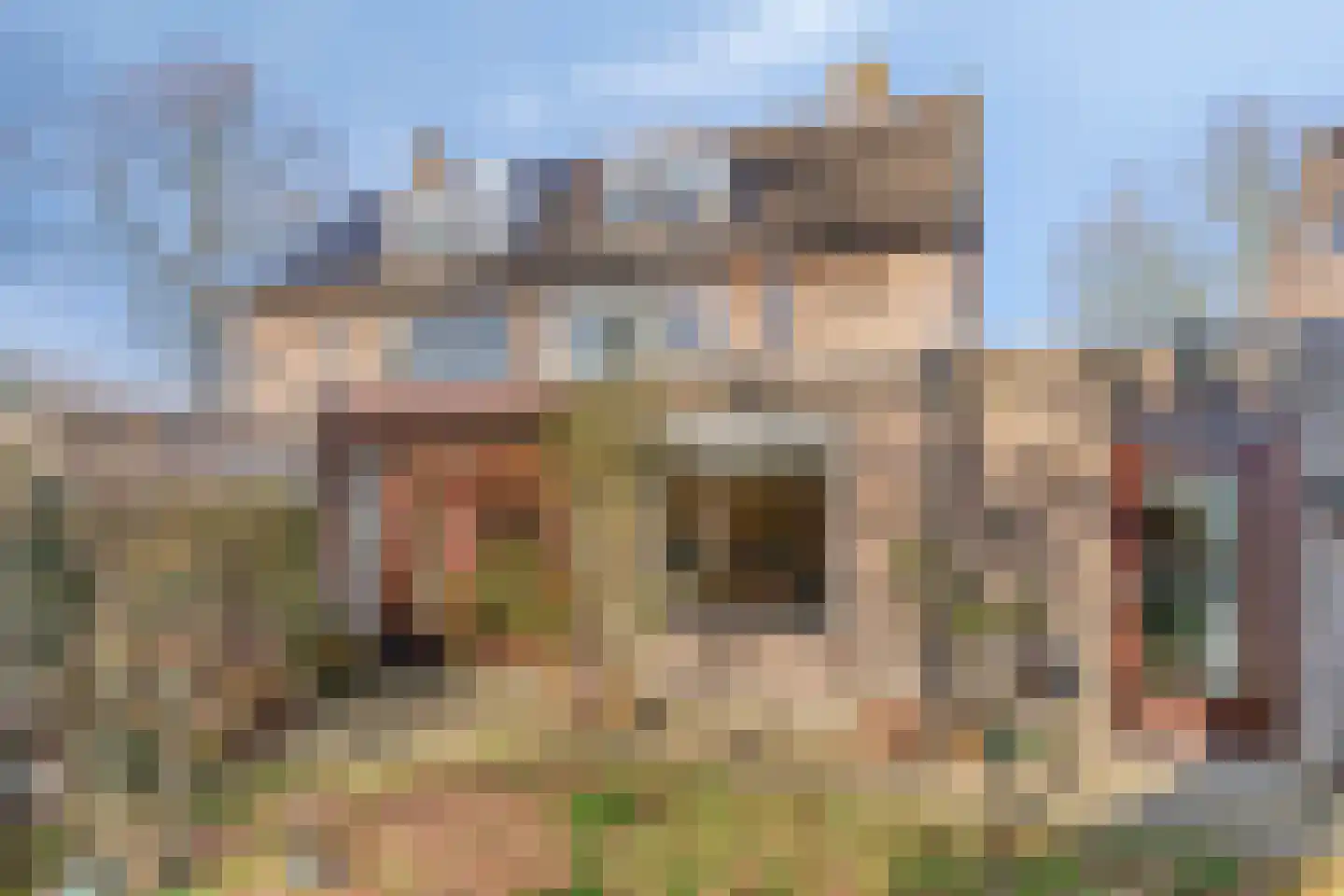 Pinkelbergen 4 Best thumbnail 35