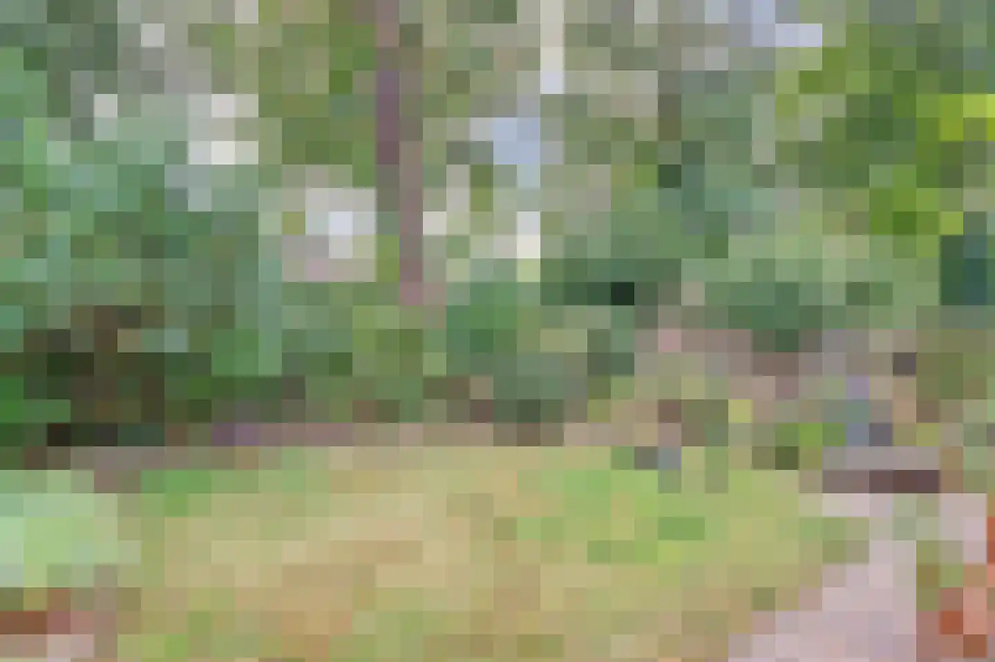 Pinkelbergen 4 Best thumbnail 36