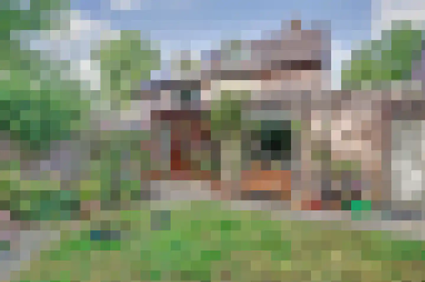 Pinkelbergen 4 Best thumbnail 37