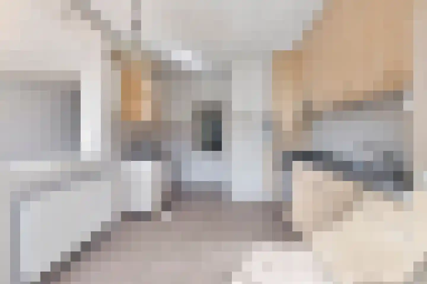 Pinkelbergen 4 Best thumbnail 4