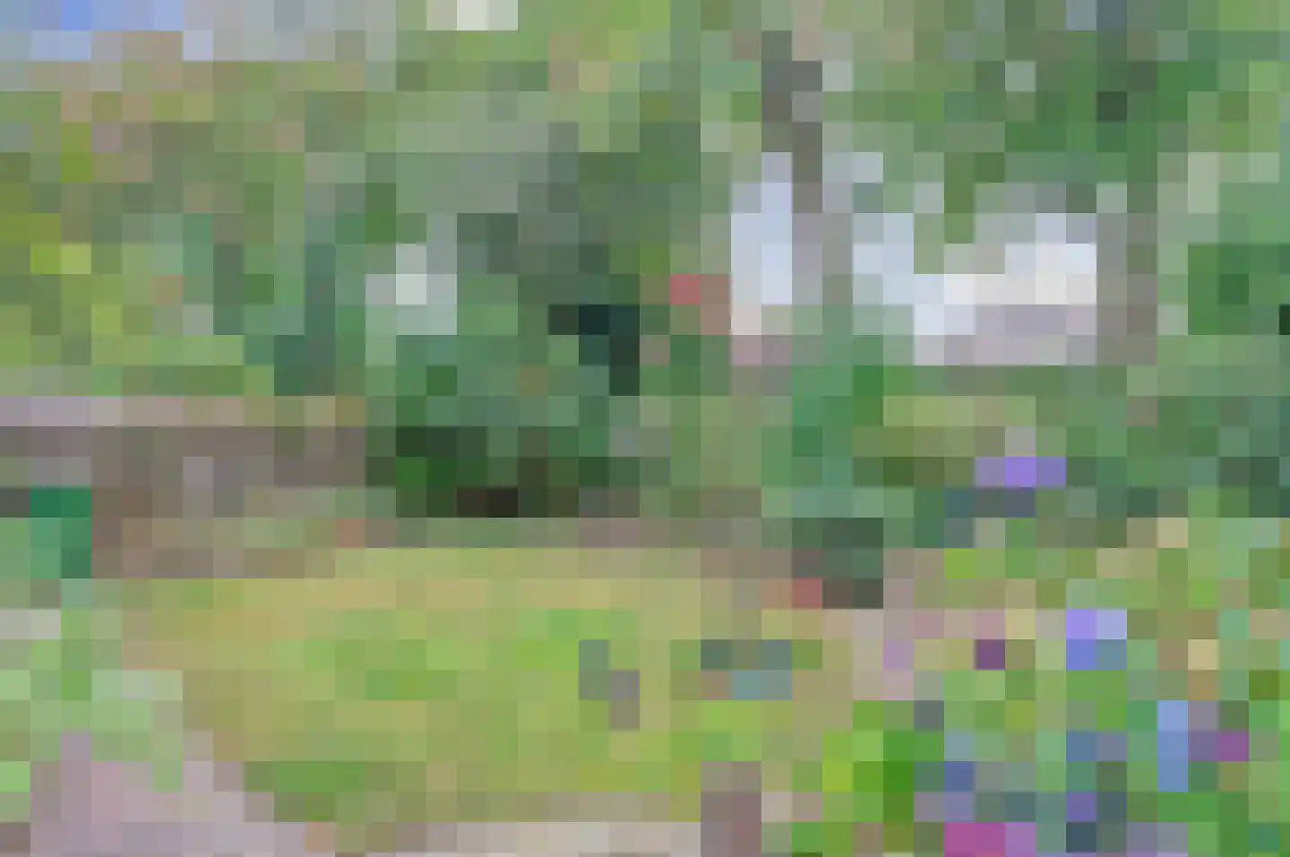 Pinkelbergen 4 Best thumbnail 5