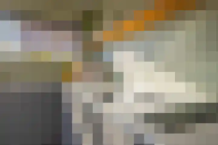 Pinkelseweg 13 b Rheden thumbnail 21