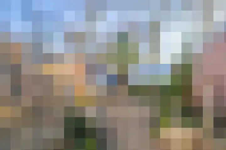 Pinkelseweg 13 b Rheden thumbnail 39
