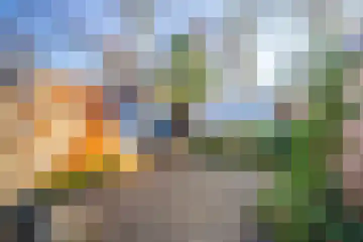 Pinkelseweg 13 b Rheden thumbnail 40