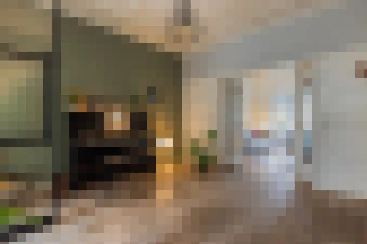 Pinkenbergseweg 16 Velp thumbnail 15