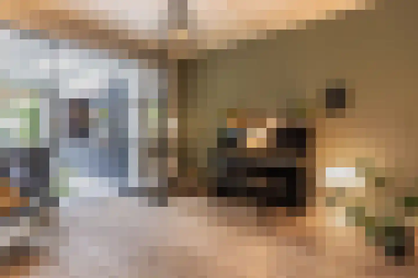 Pinkenbergseweg 16 Velp thumbnail 16