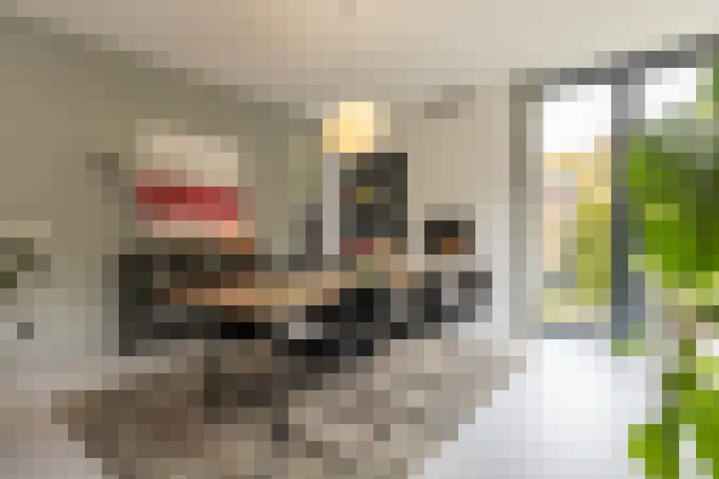 Pinkenbergseweg 16 Velp thumbnail 26
