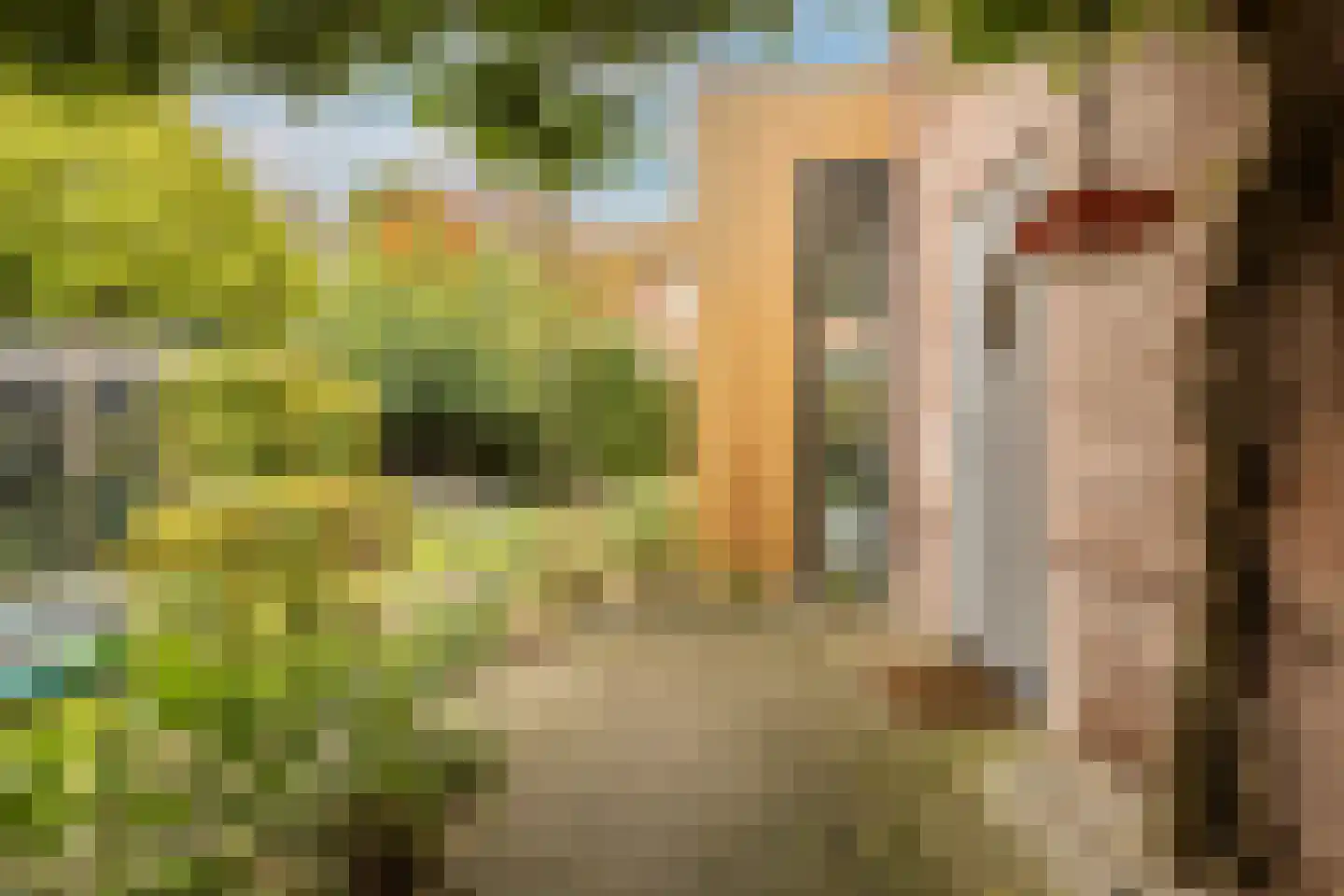 Pinkenbergseweg 16 Velp thumbnail 43