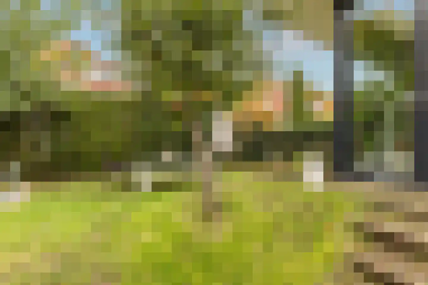 Pinkenbergseweg 16 Velp thumbnail 44