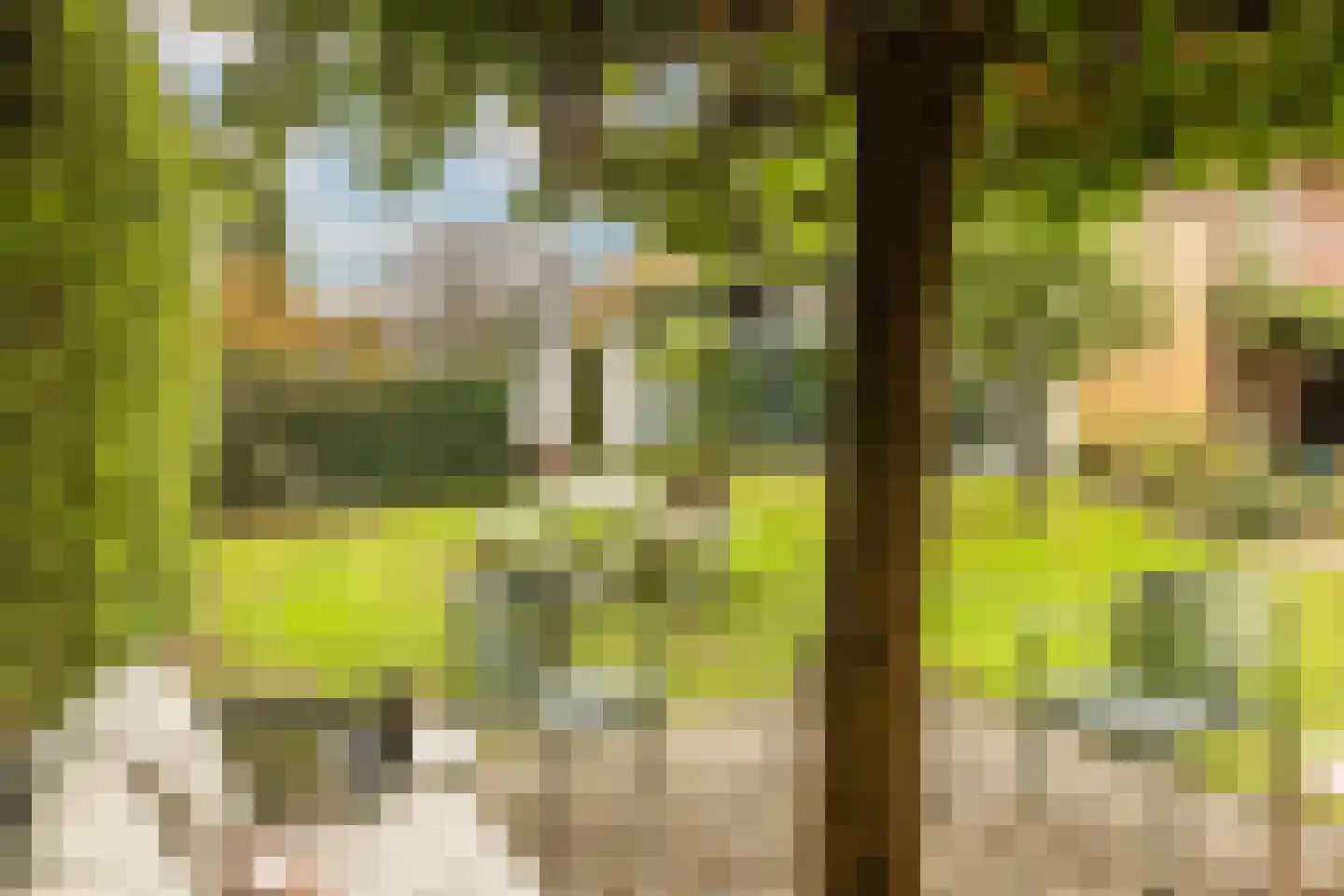 Pinkenbergseweg 16 Velp thumbnail 45