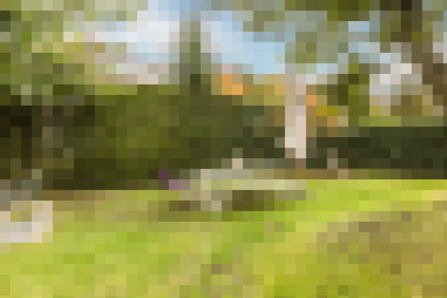 Pinkenbergseweg 16 Velp thumbnail 46