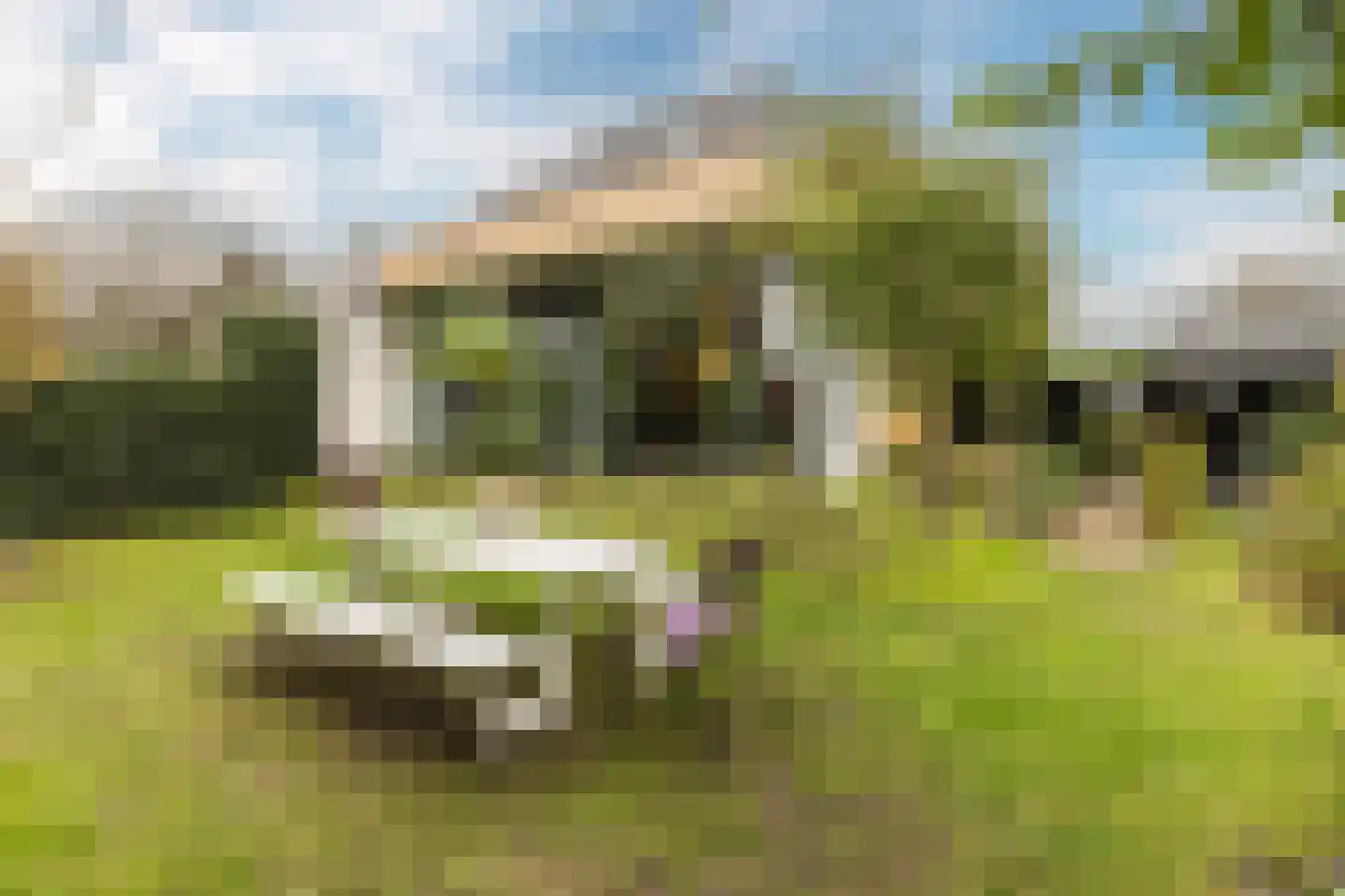 Pinkenbergseweg 16 Velp thumbnail 47