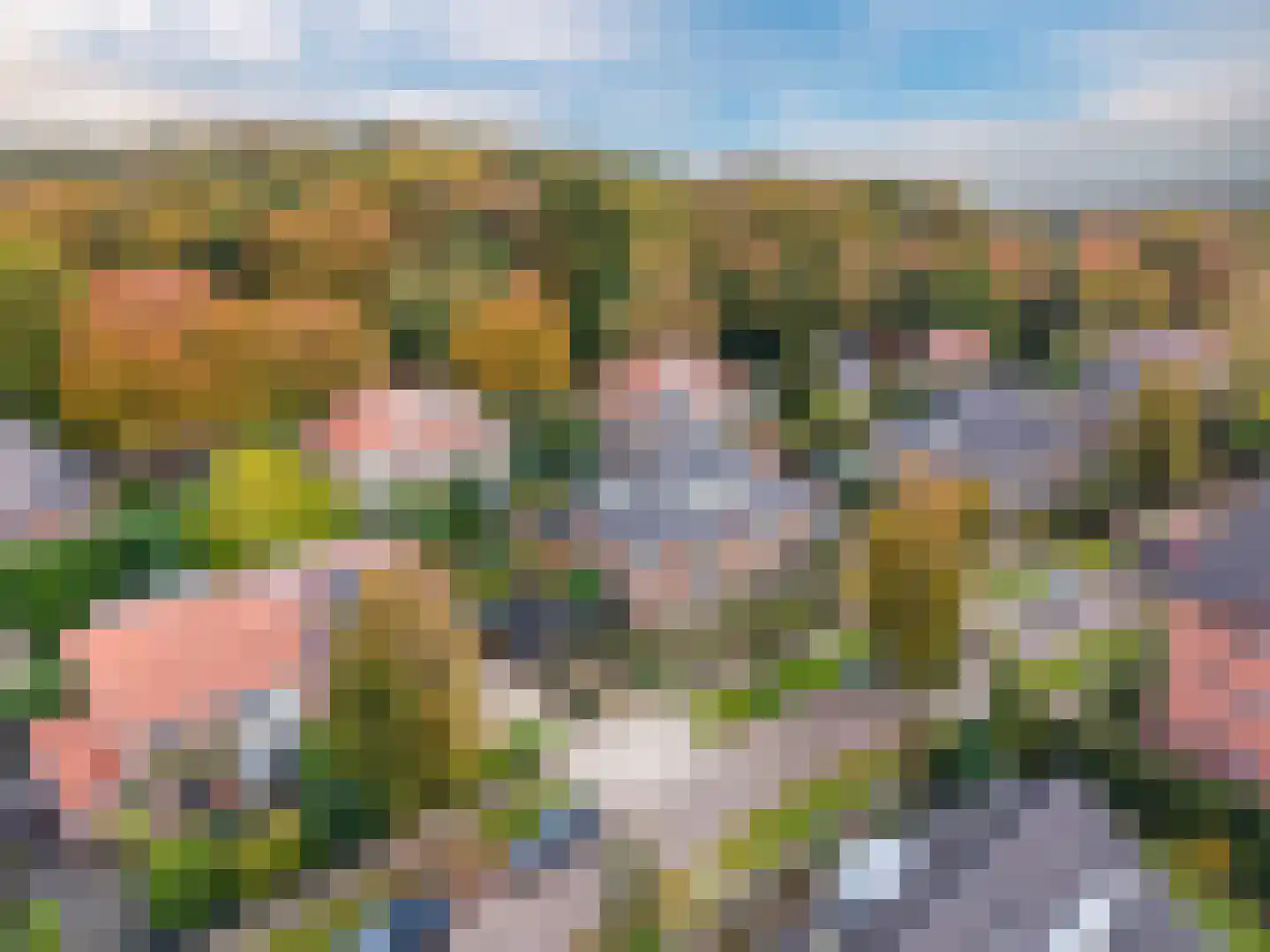 Pinkenbergseweg 16 Velp thumbnail 50