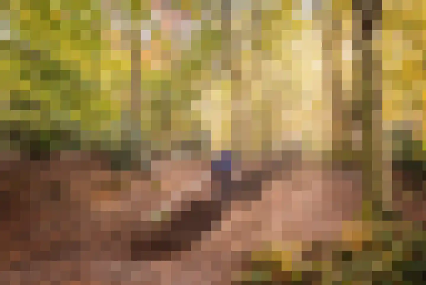 Pinkenbergseweg 16 Velp thumbnail 52