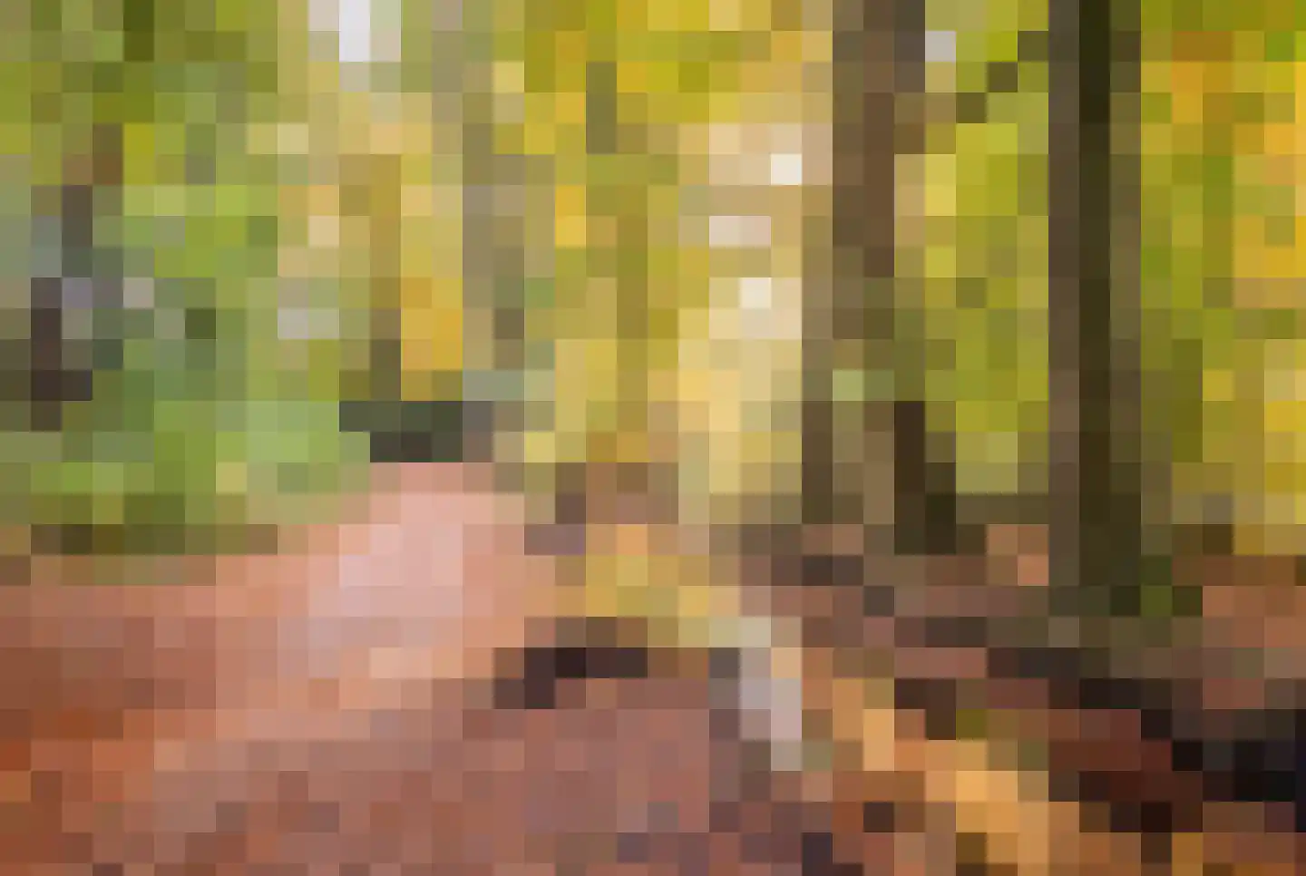 Pinkenbergseweg 16 Velp thumbnail 53