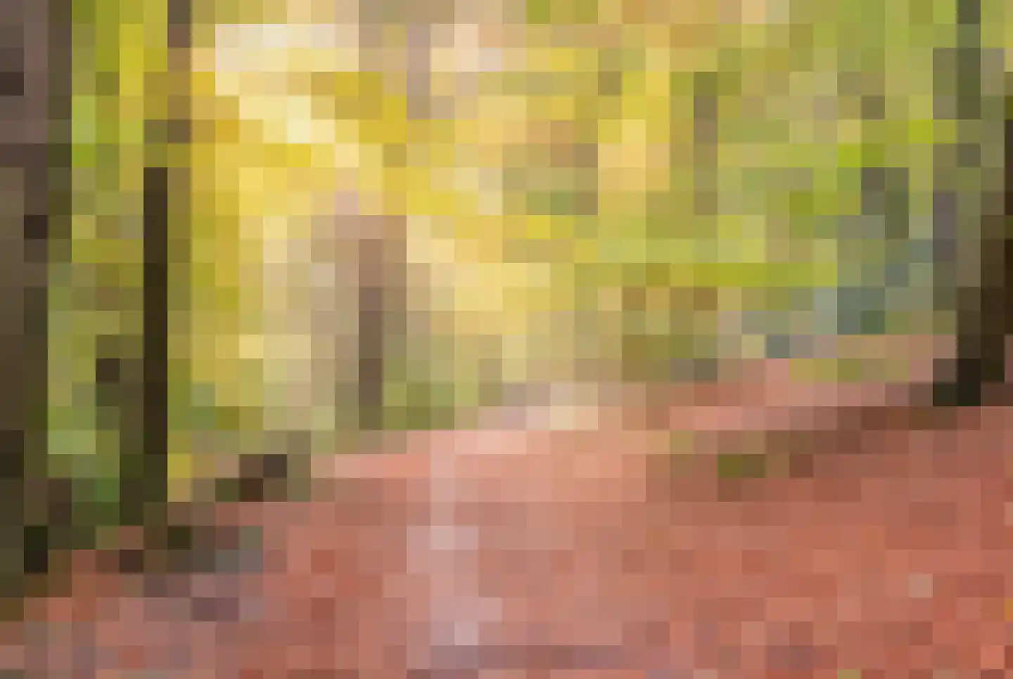 Pinkenbergseweg 16 Velp thumbnail 54