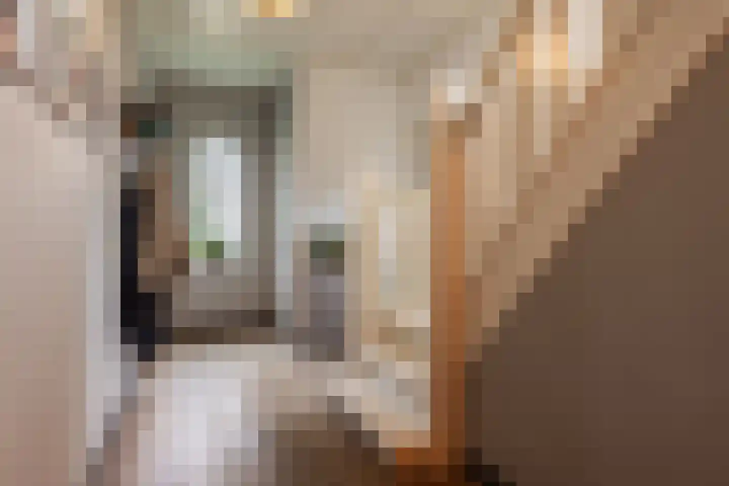 Pinkenbergseweg 16 Velp thumbnail 8