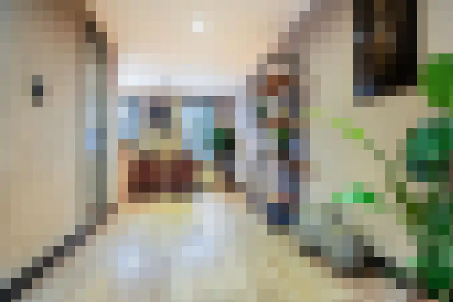 Pinkewad 3 Volendam thumbnail 12